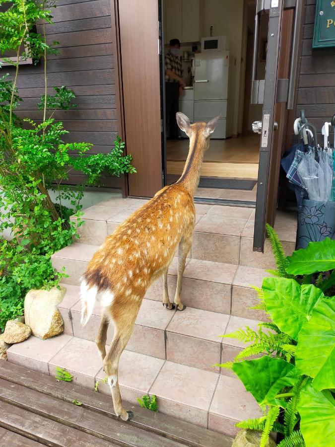 Mini Inn Nara- - 外国人向け - 日本人予約不可 Kültér fotó